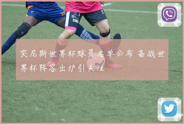 突尼斯世界杯球员名单公布 备战世界杯阵容出炉引关注