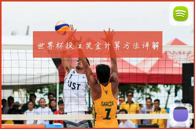 世界杯投注奖金计算方法详解