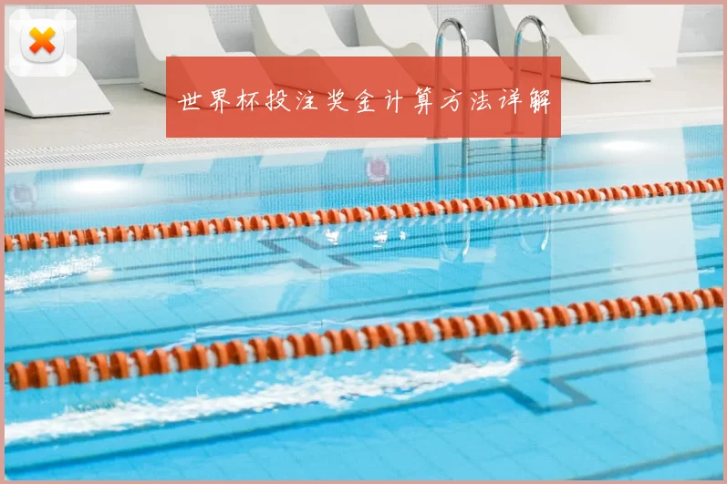 世界杯投注奖金计算方法详解