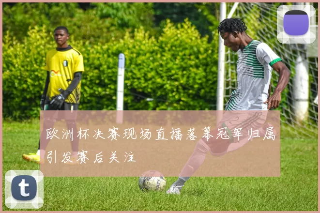 欧洲杯决赛现场直播落幕冠军归属引发赛后关注